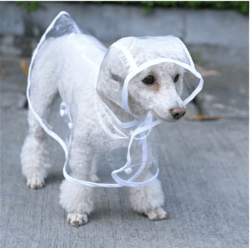 Transparent Waterproof Dog Raincoat - Stylish Protection For Your Pup